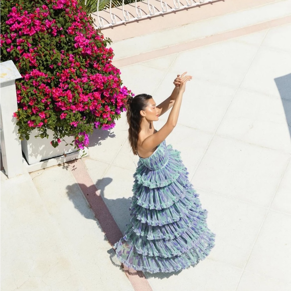 Hutch Giada Floral Mesh Ruffle Gown - Picture 3 of 14